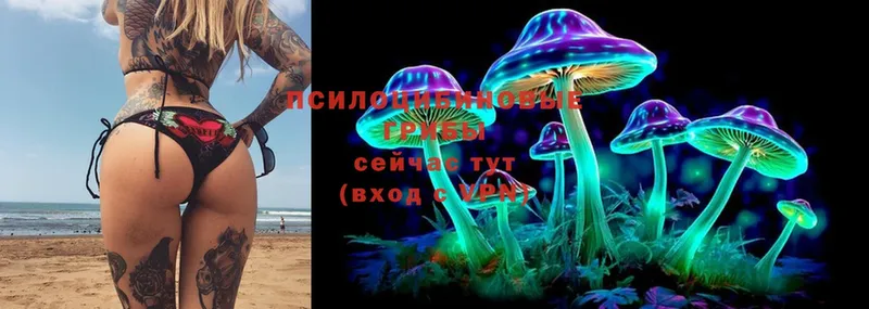 Галлюциногенные грибы Cubensis  цены   мега маркетплейс  Анива 